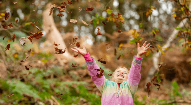 Wakefield Council Launches Autumn Winter Planner for October–February — Wakefield news photo (Wakefield Council Your District)