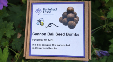 Pontefract Castle wins national Seeds of Change Award — Wakefield news photo (Wakefield Council Your District)