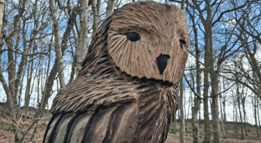 Today in Wakefield — 22 August — Wakefield news photo