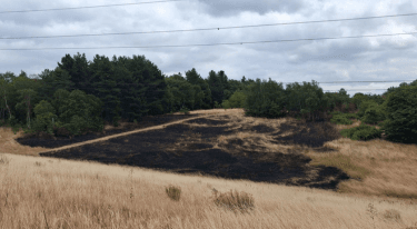 Leave barbecues at home to help prevent fires in parks and green spaces — Wakefield news photo (Wakefield Council Your District)